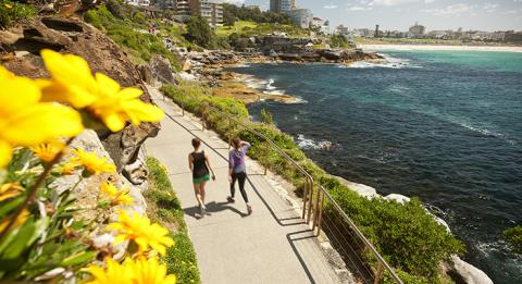 Küstenpfad von Coogee nach Bondi, Bondi ist in der Ferne zu sehen