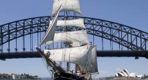 Großsegler im Sydney Harbour
