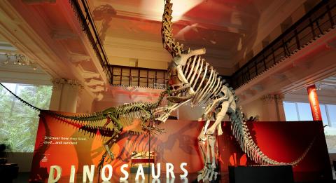 Dinosaurier-Ausstellung im Australian Museum