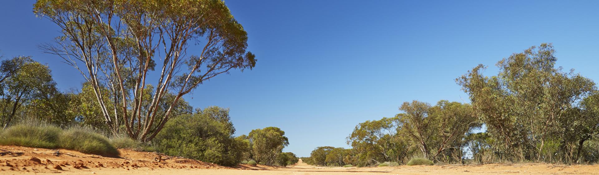 Weg im Mungo National Park, Broken Hill