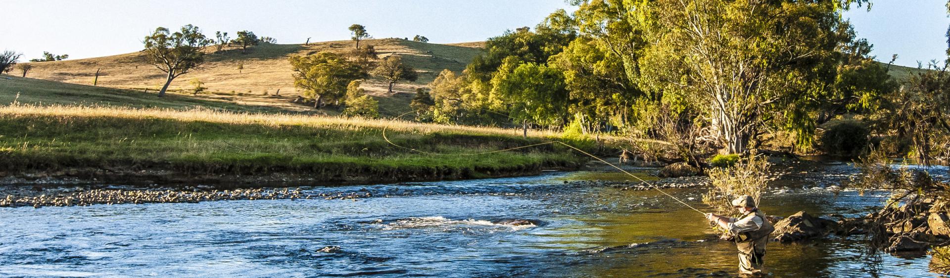 Fliegenfischen in Tumut