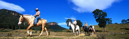 Horseriding at Centennial Glen Stables, Blackheath