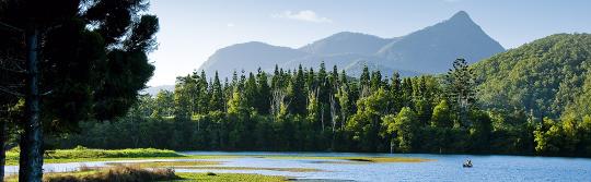 Mount Warning, Region Tweed