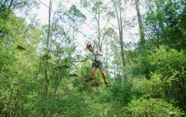 TreeTop Adventure Park, Newcastle